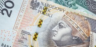 Jak inflacja ukryta niszczy wartość pieniądza? Shrinkflacja i skimpflacja z perspektywy konsumenta Jak inflacja ukryta niszczy wartość pieniądza? Shrinkflacja i skimpflacja z perspektywy konsumenta