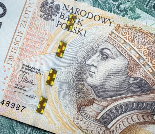 Jak inflacja ukryta niszczy wartość pieniądza? Shrinkflacja i skimpflacja z perspektywy konsumenta Jak inflacja ukryta niszczy wartość pieniądza? Shrinkflacja i skimpflacja z perspektywy konsumenta